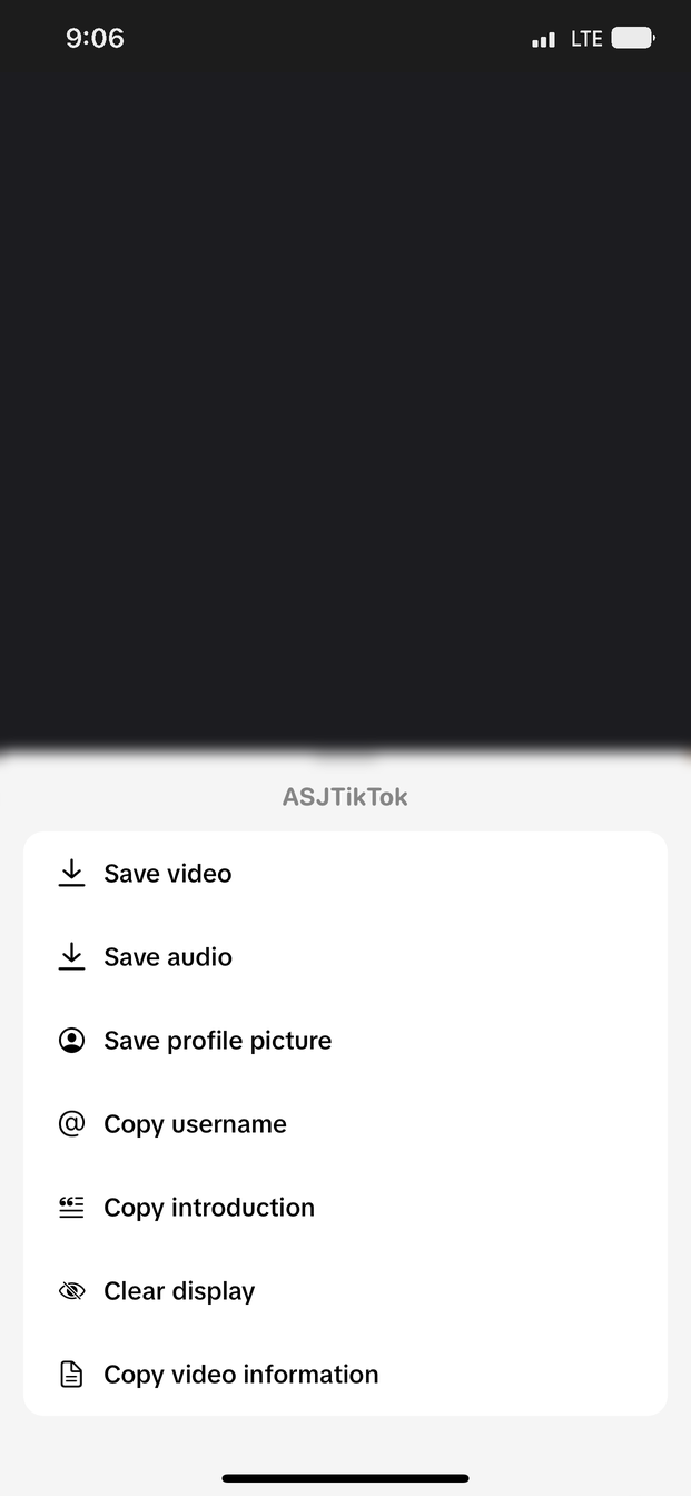 The in-video menu