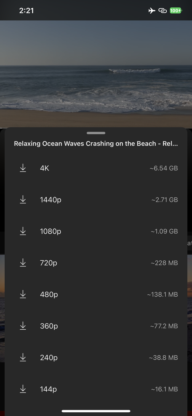 Every rung the video has, with the size before you commit